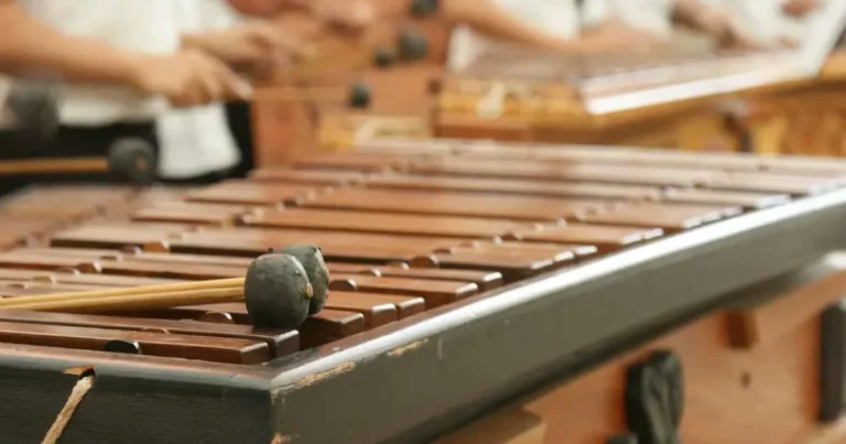 marimbas artesanales impulsarán las presentaciones del taller de marimba de chiapa de corzo