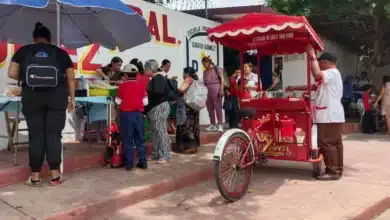 Tras casi 20 días de paro magisterial, regresa a clases más de 1.8 millones de alumnos en Chiapas