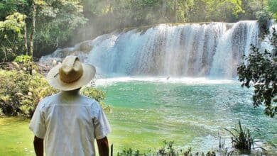 Sej Kajub, la cascada de aguas turquesa que sorprende en Ocosingo