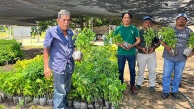 Fortalecen programas de reforestación en Chiapa de Corzo con la entrega de 5 mil 800 plantas