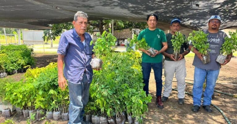 Fortalecen programas de reforestación en Chiapa de Corzo con la entrega de 5 mil 800 plantas