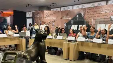 Participa la instancia municipal de la mujer de Comitán en sesión estatal para erradicar la violencia de género