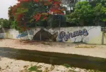 Río Sabinal de aguas limpias y recreación a un cauce contaminado y en riesgo constante