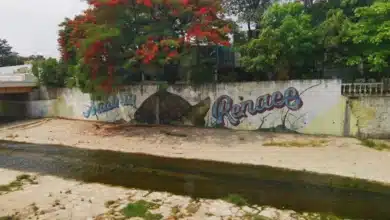 Río Sabinal de aguas limpias y recreación a un cauce contaminado y en riesgo constante