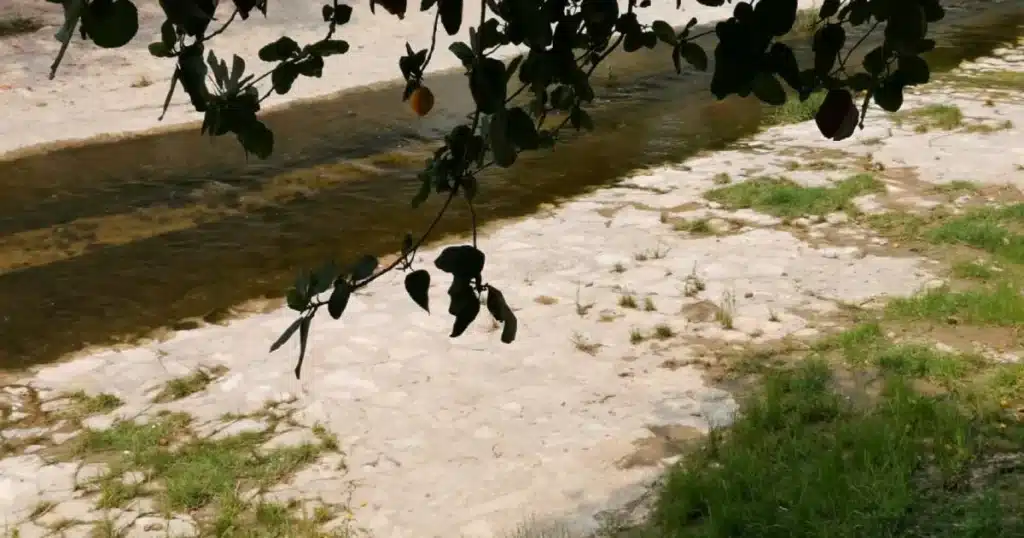 río sabinal de aguas limpias y recreación a un cauce contaminado y en riesgo constante (2)