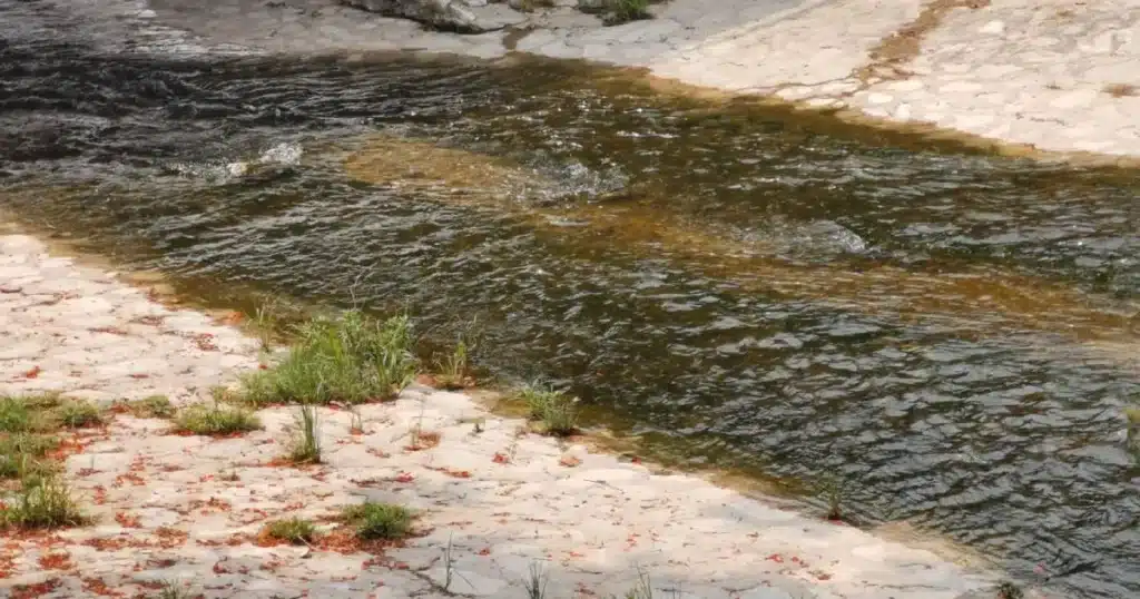 río sabinal de aguas limpias y recreación a un cauce contaminado y en riesgo constante (3)