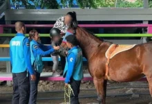 secretaría de seguridad del pueblo ofrece equinoterapia en tuxtla (1)