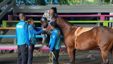 secretaría de seguridad del pueblo ofrece equinoterapia en tuxtla (1)