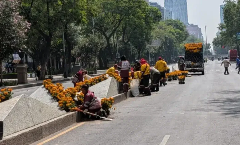 Día de Muertos en junio: Reforma se viste de cempasúchil para recibir el Mundial 2026