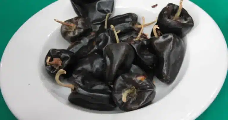 chile chilhuacle, el ingrediente emblemático que da identidad al mole negro de oaxaca