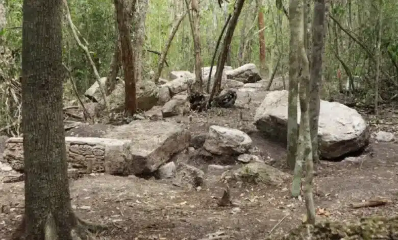 descubren minanbé, una ciudad maya intacta oculta durante más de mil años en la selva de campeche