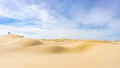 dunas de samalayuca el tesoro natural y arqueológico que sorprende en el desierto de chihuahua