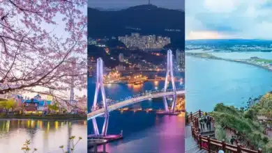 La mejor fecha para viajar a Corea del Sur, los 3 sitios imperdibles (Fotos de internet)