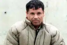 "El Chapo" suma 15 cartas a Corte de NY, exige su extradición (Foto de internet)