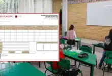 ¿Cuándo y cómo descargar la boleta escolar en PDF? (Fotos de internet)