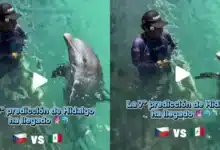 México vs Chequia: Delfín Hidalgo predice marcador del partido (Fotos de internet)