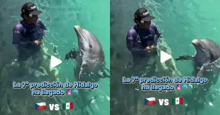 México vs Chequia: Delfín Hidalgo predice marcador del partido (Fotos de internet)
