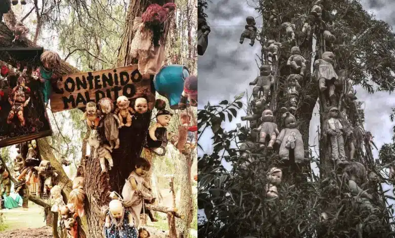 ¿Has visitado la Isla de las Muñecas en Xochimilco? (Fotos de internet)