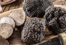 Platillos que resaltan el sabor de la trufa (Foto de internet)
