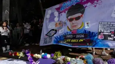 fans rinden emotivo homenaje a oliver tree en la méxico