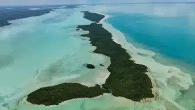 isla tamalcab, el tesoro escondido del caribe mexicano en el sur de quintana roo