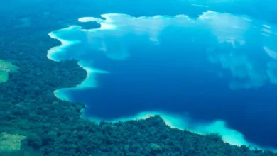 laguna miramar, el tesoro natural escondido en el corazón de la selva lacandona