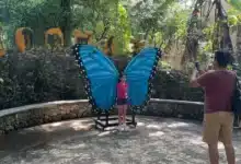 analizan protecto de teleférico turístico que conectaria copoya con el zoomat en tuxtla gutiérrez (1)