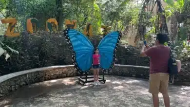 analizan protecto de teleférico turístico que conectaria copoya con el zoomat en tuxtla gutiérrez (1)