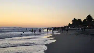 autoridades confirman que las playas de chiapas son seguras para los turistas