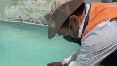 autoridades supervisan calidad del agua en albercas de tapachula