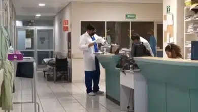 chiapas se mantiene en el sexto lugar nacional por dengue