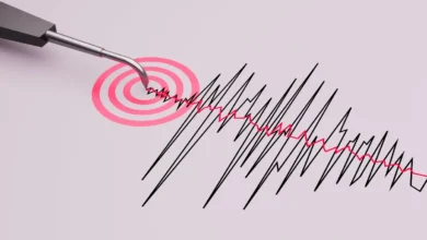 Chiapas supera las mil réplicas tras el sismo de magnitud 7.4