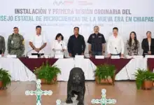 Eduardo Ramírez llama a unir esfuerzos para fortalecer la conservación de microcuencas en Chiapas