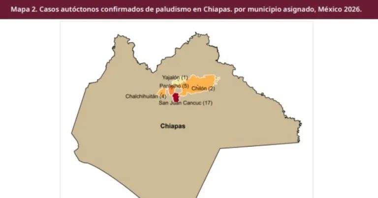 Casos de paludismo (Foto de Gobierno de México)