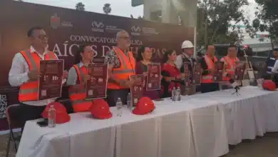 Esculturas honrarán raíces chiapanecas (Foto de Nayeli Mijangos)