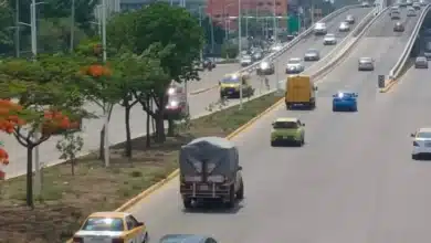 Detectan permisos falsos para circular sin placas en Chiapas; hasta seis años de prisión (Foto de cortesía)