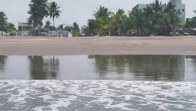Playas de Chiapas, aptas para el turismo durante vacaciones de verano (Foto de cortesía)
