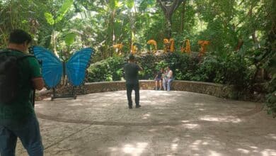 La Gran Escapada deja derrama de 925 millones de pesos en Chiapas y fortalece la actividad turística
