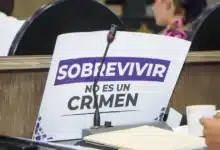 Ley Petrona el origen de la reforma que benefició a 17 mujeres en Chiapas