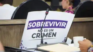 Ley Petrona el origen de la reforma que benefició a 17 mujeres en Chiapas