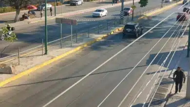 llaman a turistas a descargar la app c5 escudo pakal para reforzar la seguridad durante el verano