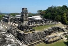 Parque Nacional Palenque cumple 45 años resguardando la riqueza natural y cultural de Chiapas