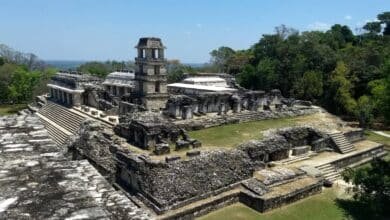 Parque Nacional Palenque cumple 45 años resguardando la riqueza natural y cultural de Chiapas