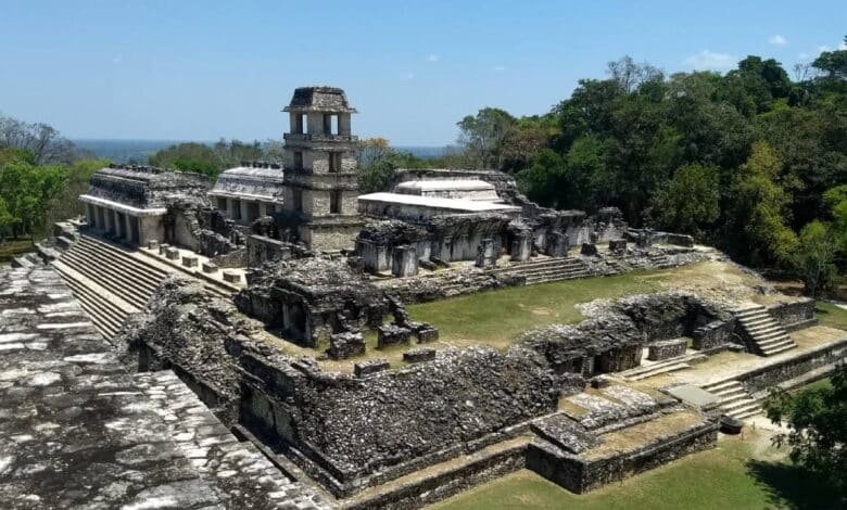 Parque Nacional Palenque cumple 45 años resguardando la riqueza natural y cultural de Chiapas