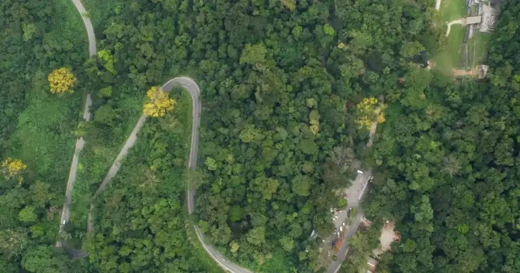 Parque Nacional Palenque cumple 45 años resguardando la riqueza natural y cultural de Chiapas