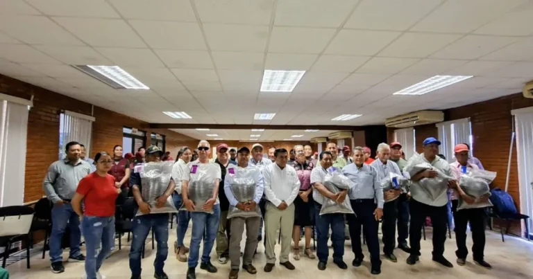 Entregan 3.5 toneladas de semilla de frijol “verdín” para fortalecer la producción agrícola en Chiapas