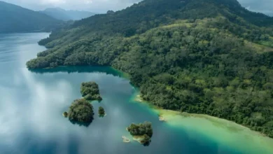 Chiapas va por récord en turismo