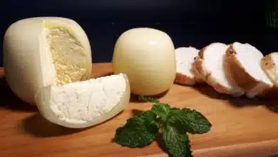 Queso de Bola de Ocosingo, una joya artesanal de la cocina chiapaneca