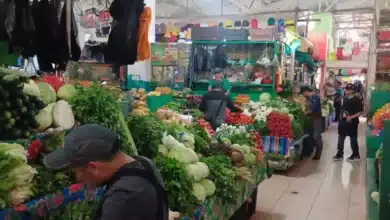 Regreso a clases desploma ventas de hasta 70% en mercados de Tuxtla; baja el precio del huevo alivia gasto en la canasta básica
