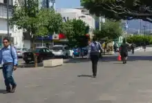 secretaría anticorrupción alerta por circulación de constancias falsas de no inhabilitación en chiapas